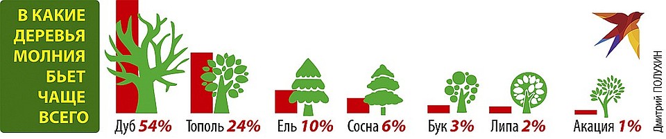 Молния часто бьет в деревья.