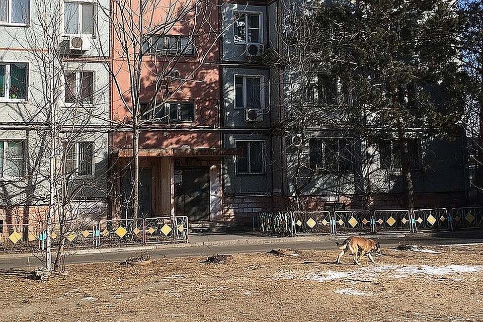 В Хабаровске передано в суд дело 80-летней серийной убийцы из Березовки Фото: Борис КОКУРИН