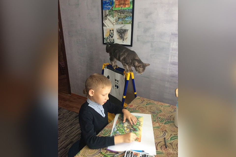 Семья из Арзамаса в свое время приютила двух уличных котов.
