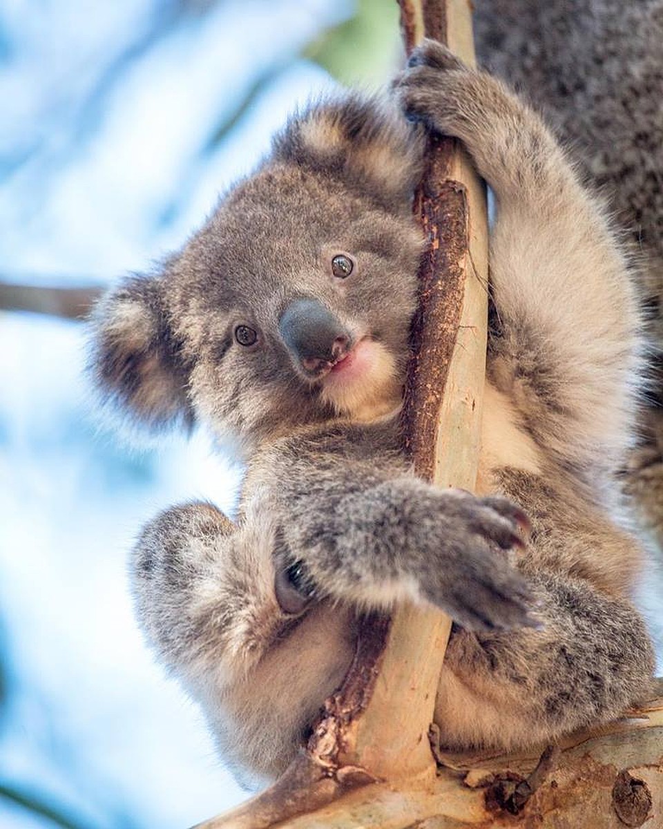 Hanson Bay Wildlife Sanctuary