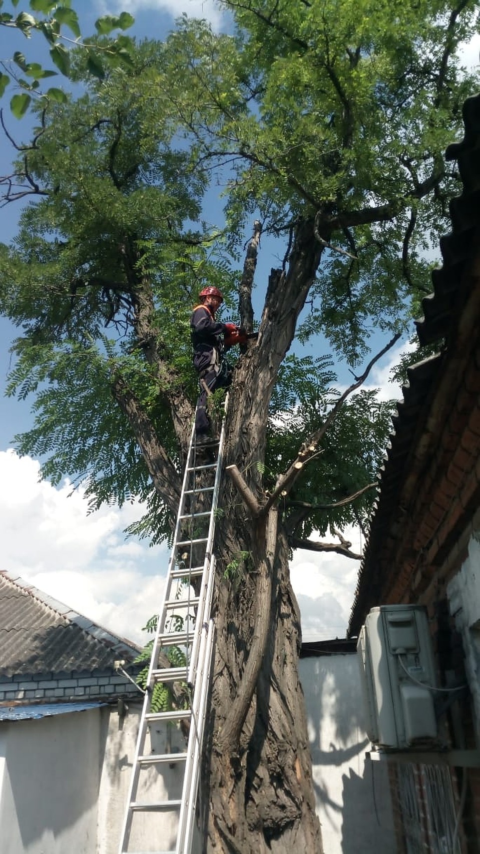 С работы у Виктора Романова в основном только такие фотографии - обычно ему приходится пилить аварийные деревья и расчищать русла рек от мусора