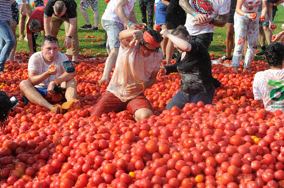 В ход пошли томаты, которые не пригодны в пищу. Фото: Олег ЗОЛОТО