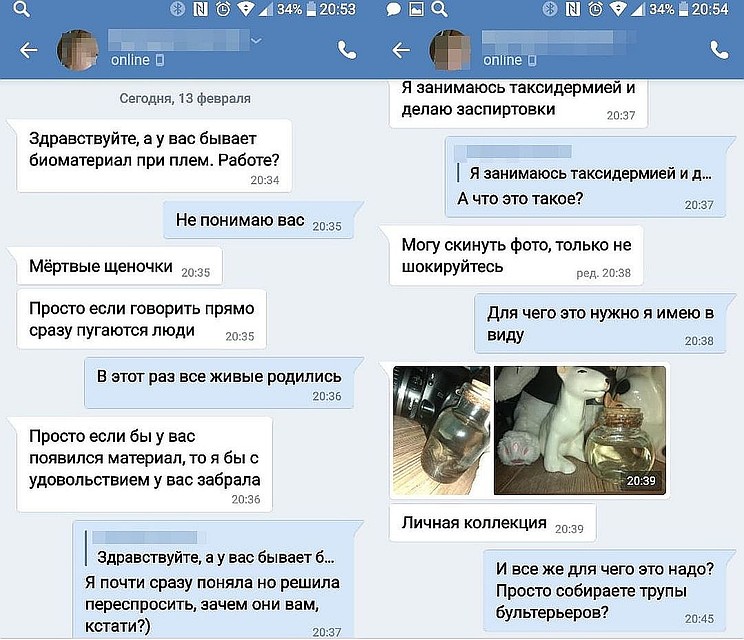 Девочка покупала трупы животных для «хобби».