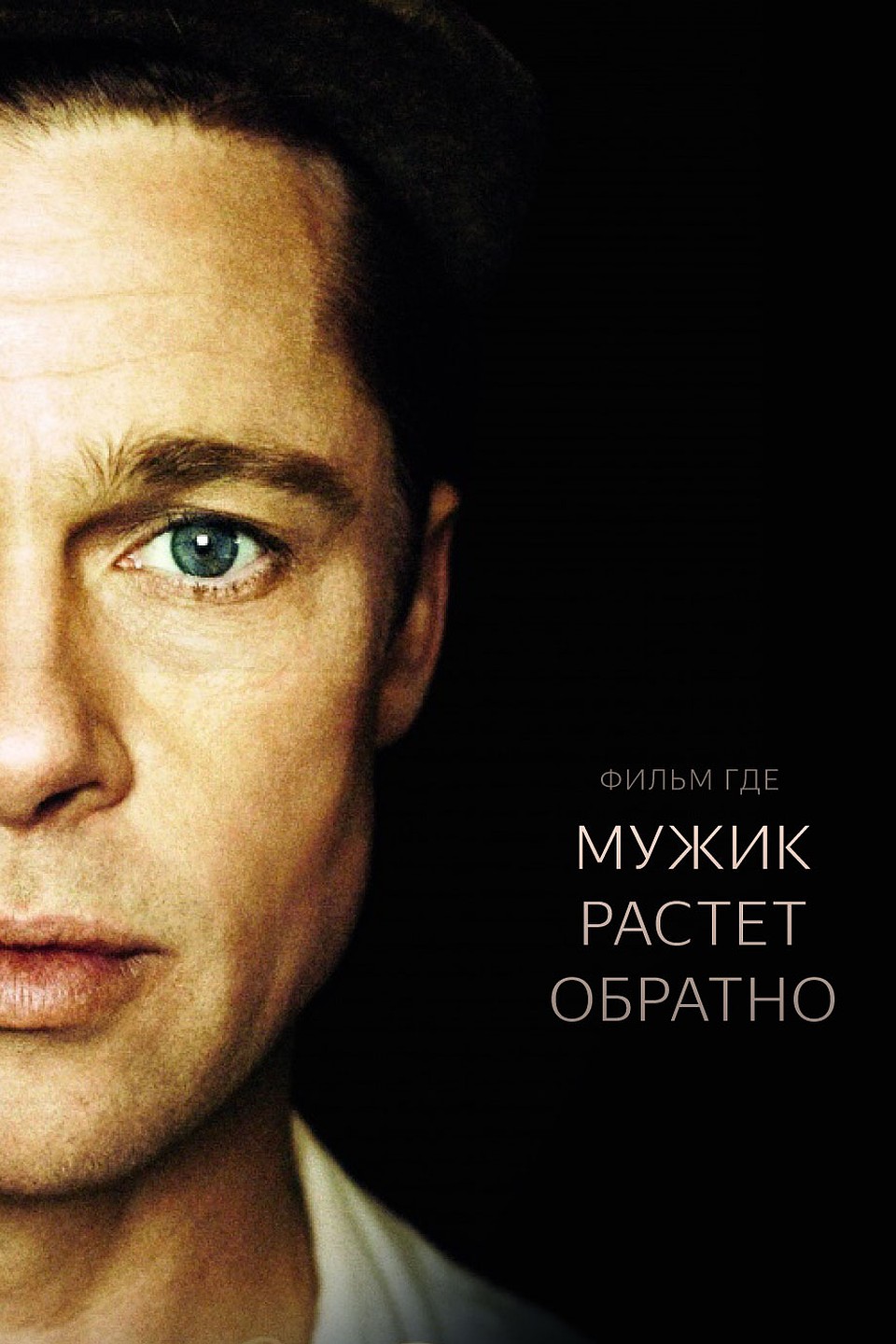 Фото: Исследование Яндекса
