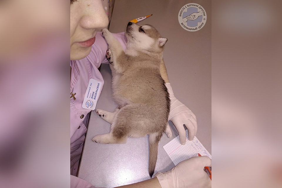Технология T.L.C. в действии: нежная, полная любви забота к пациентам. Фото: vk.com/ver.drug