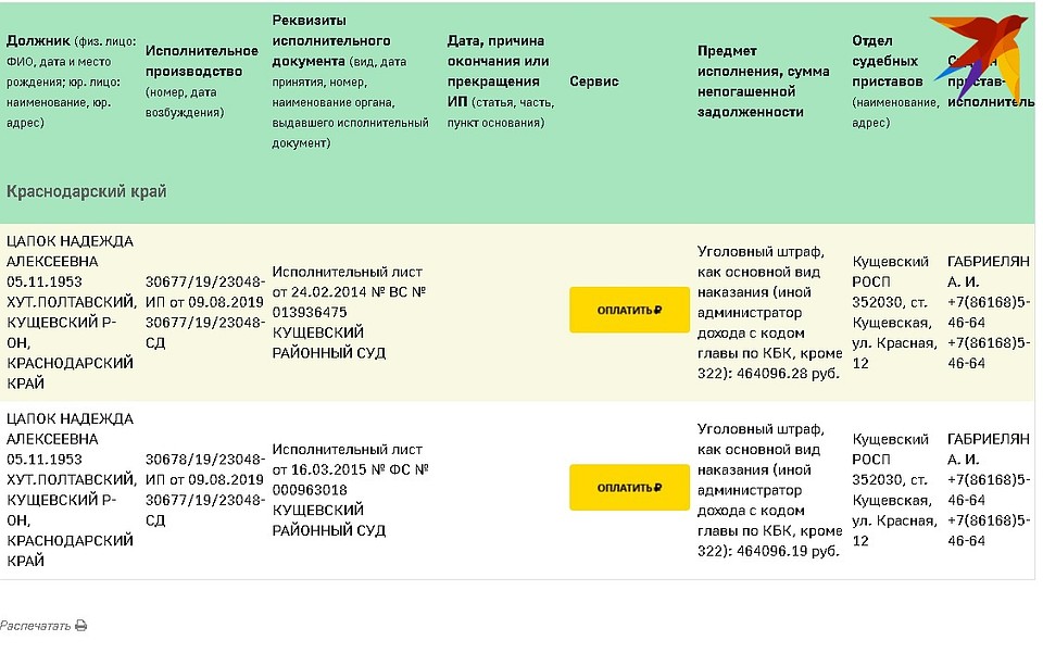Долги Надежды Цапок