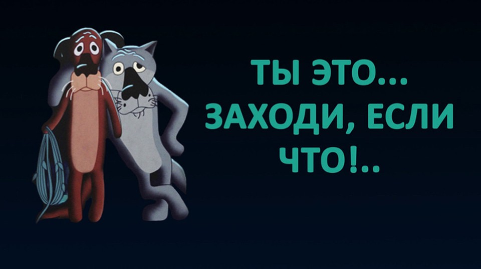 Волк и собака похожи, но не родня.