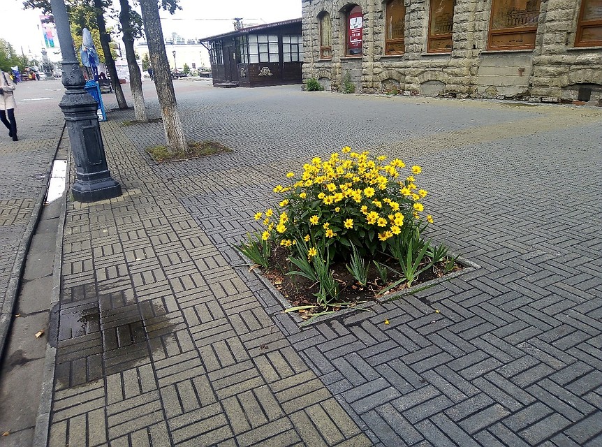 Горожане прозвали такие цветники могилками. Фото: "Гражданский патруль".