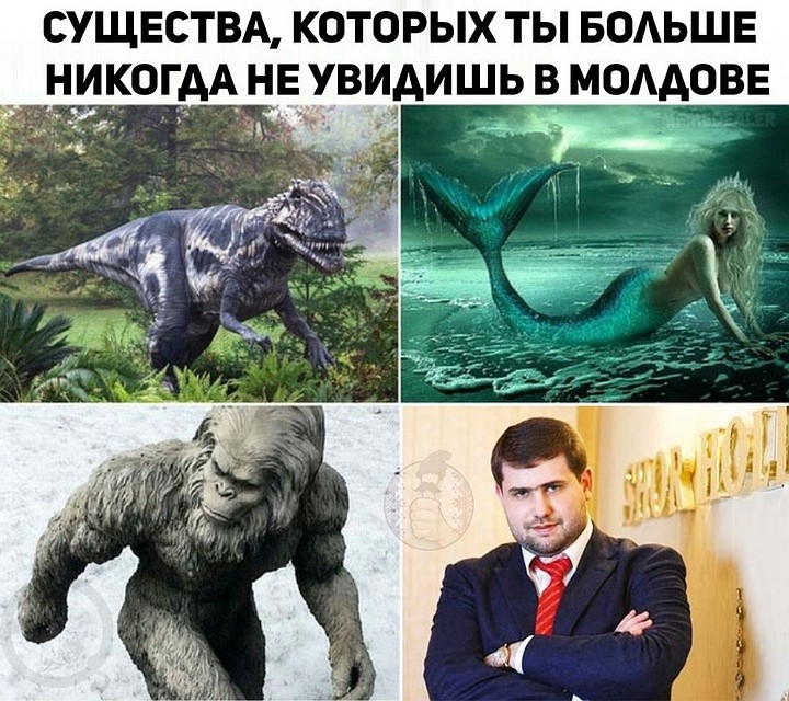 Один из самых популярных мемов про Шора.