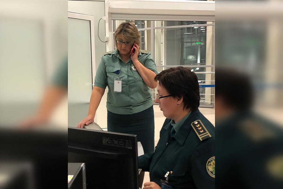 Новосибирские таможенники приняли скрипку музыканта за работу Страдивари. Фото: instagram.com/simonyanmikhail/