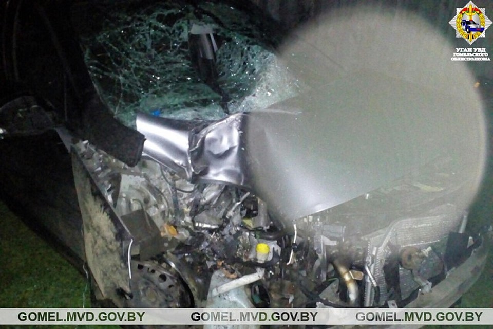 Пьяный на Renault не удержал машину на дороге. Фото: УВД Гомельского облисполкома.
