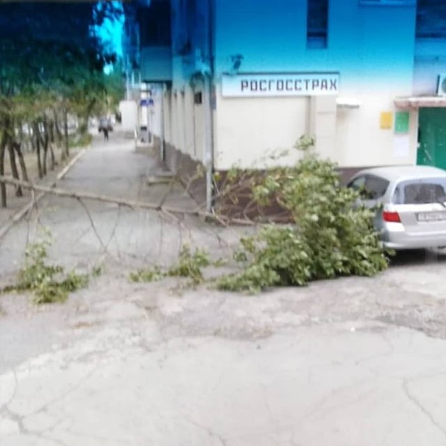 Одно из деревьев упало прямо у офиса страховой компании. Фото: dpskontrol125rus Фото: Социальные сети