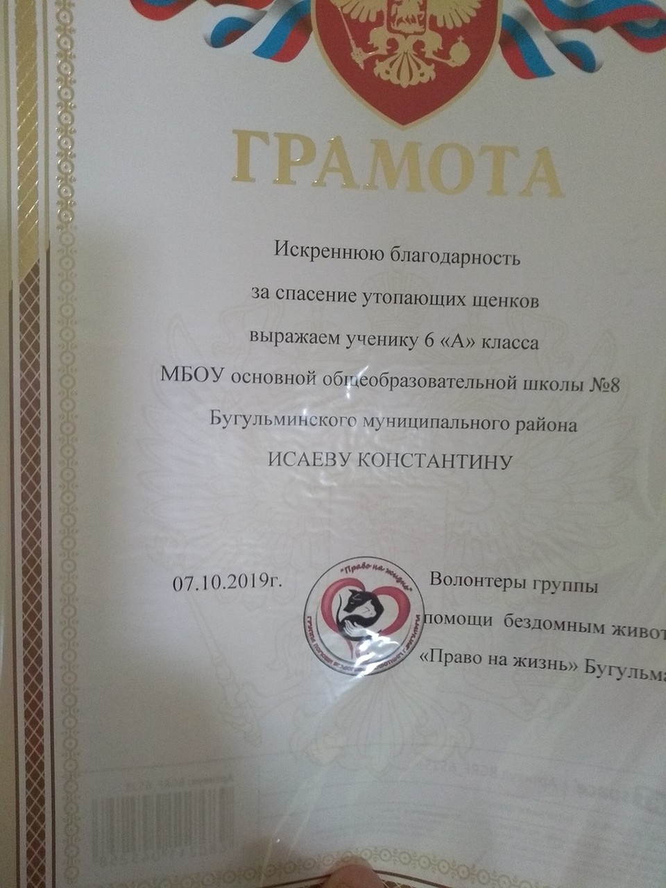 Грамота для отважного школьника Фото: соцсети