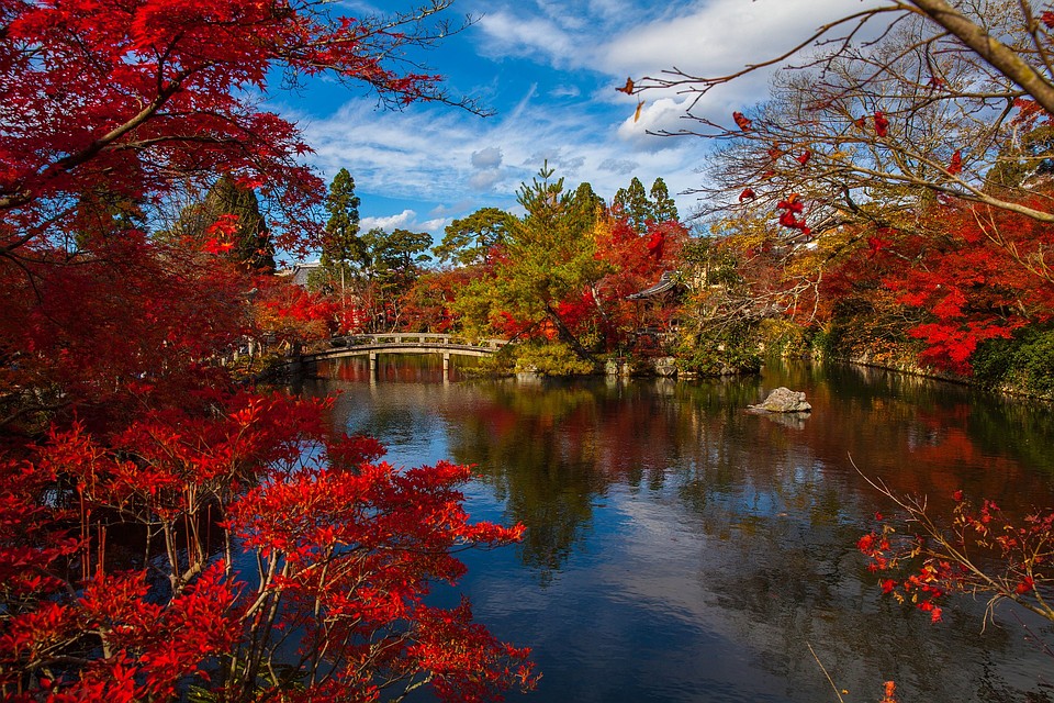 Фото: pixabay.com