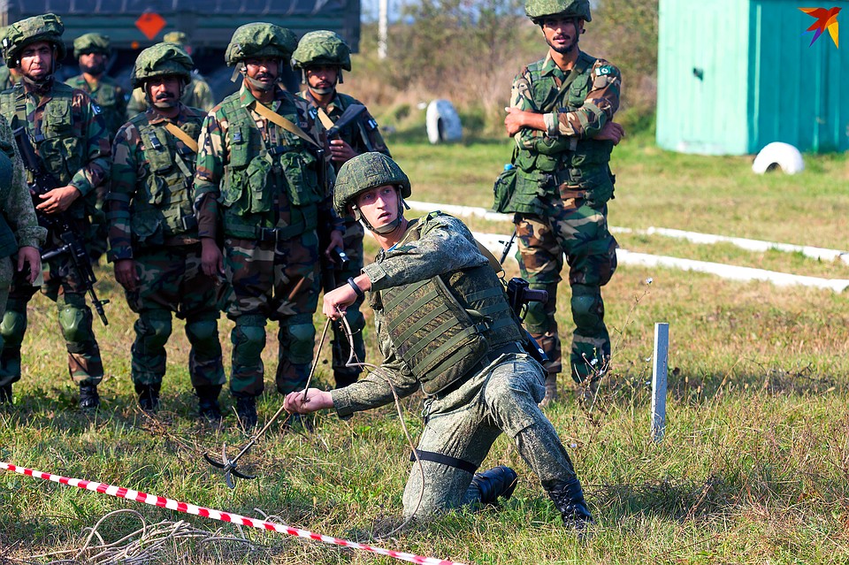Кошки кидали как российские военные... Фото: Александр Харланов