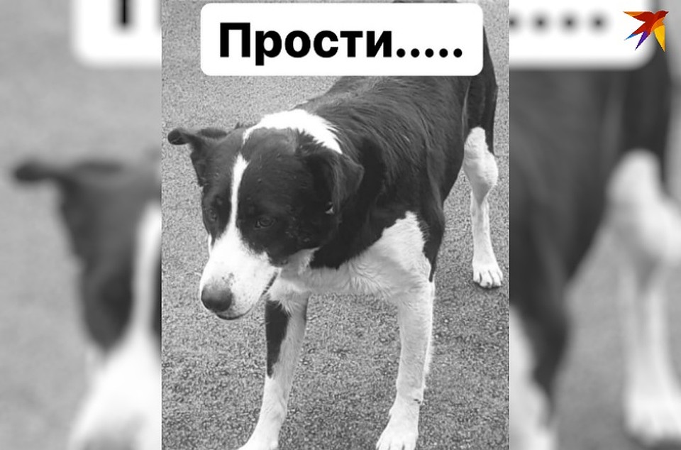 Волонтер и просто жители города в ужасе от происходящего