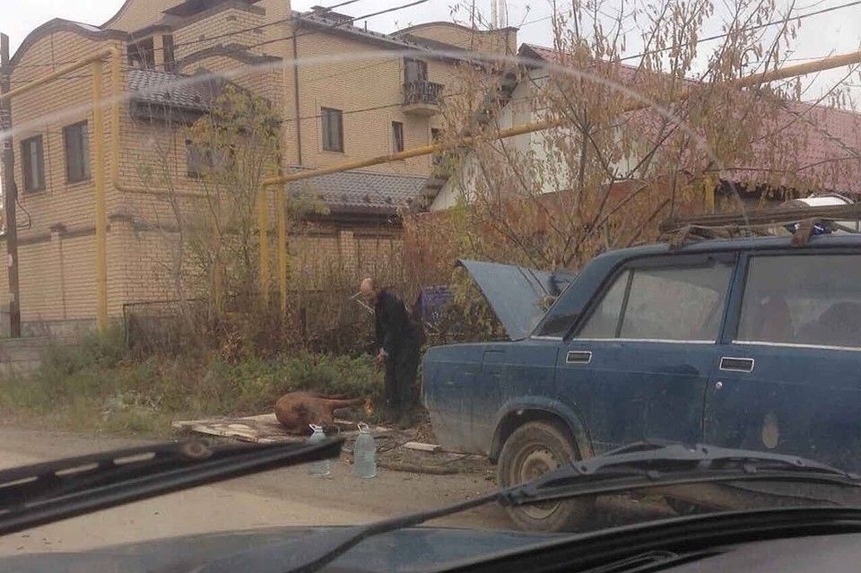 По словам соседей, мужчина продает мясо. Фото: Карен Даллакян