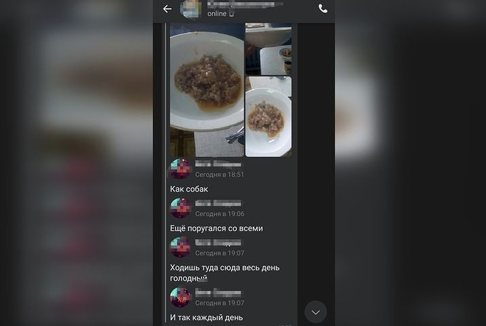 В сентябре центр посетила детский омбудсмен Надежда Болтенко и прокуратура. Фото: "Ревизорро Новосибирск"