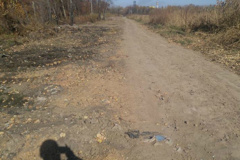 Представителям закона осталось только зафиксировать, что их требования, выписанные ранее, выпонили Фото: Россельхознадзор по Хабаровскому краю и ЕАО