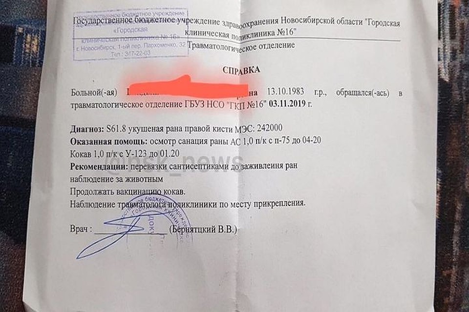 Пострадавшая от укусов питбуля сибирячка обратилась за помощью к врачу. Фото: соцсети
