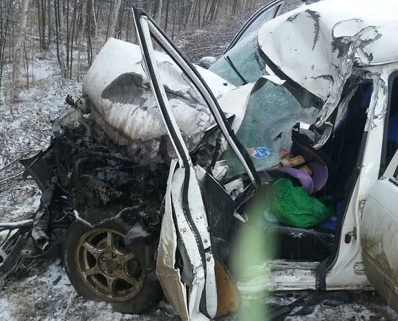 Полуторагодовалый малыш и молодая девушка пострадали в лобовом столкновении на трассе Хабаровск — Комсомольск Фото: соцсети