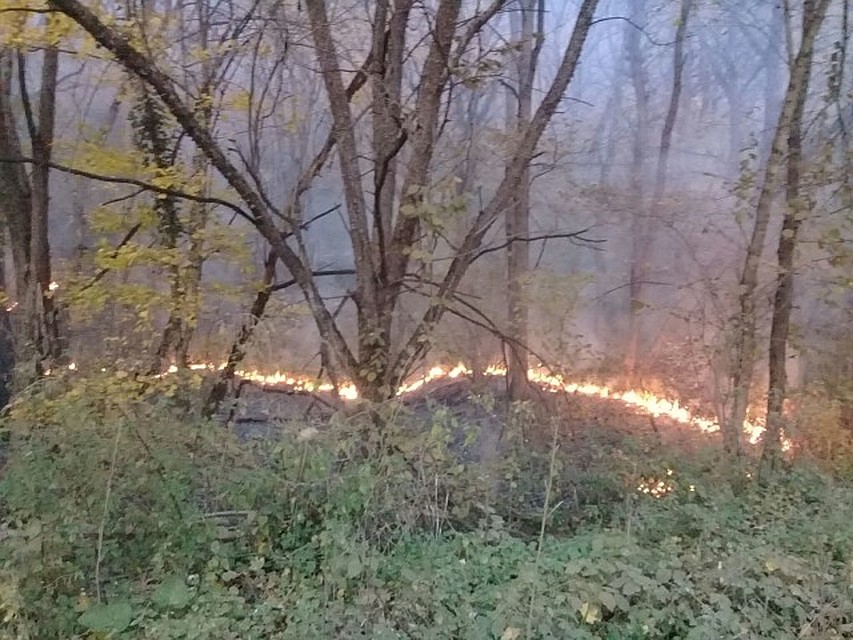 Фото: Максим Мальцев