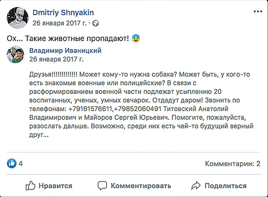 Иногда репосты фейковых сообщений делают и знаменитости. Среди тех, кто проникся историей про вымышленных служебных собак, оказался комментатор «Матч ТВ» Дмитрий Шнякин.
