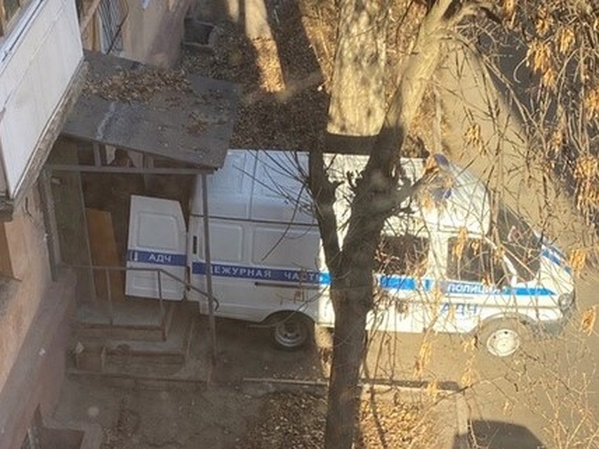 Полиция провела операцию по спасению животных. Фото группы "МЫ - ВОЛОНТЕРЫ! ©Рыжий Хвост"