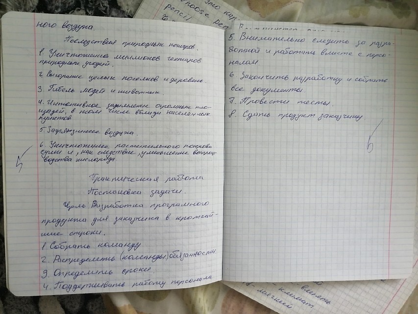 Сестра парня показывает, что он всегда учился на одни пятерки и вел правильный образ жизни Фото: из личного архива