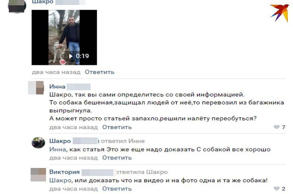 На него тут же набросились Фото: СОЦСЕТИ