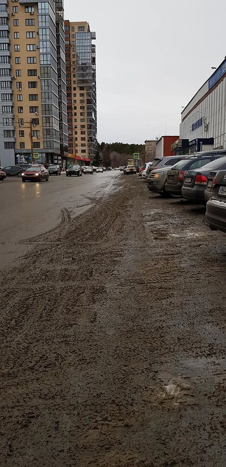 Будто дождь прошел. Фото: Денис Ни.
