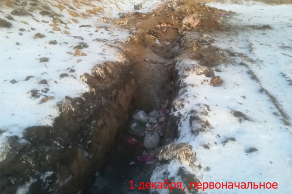 Фото: Виталий Поддубиков