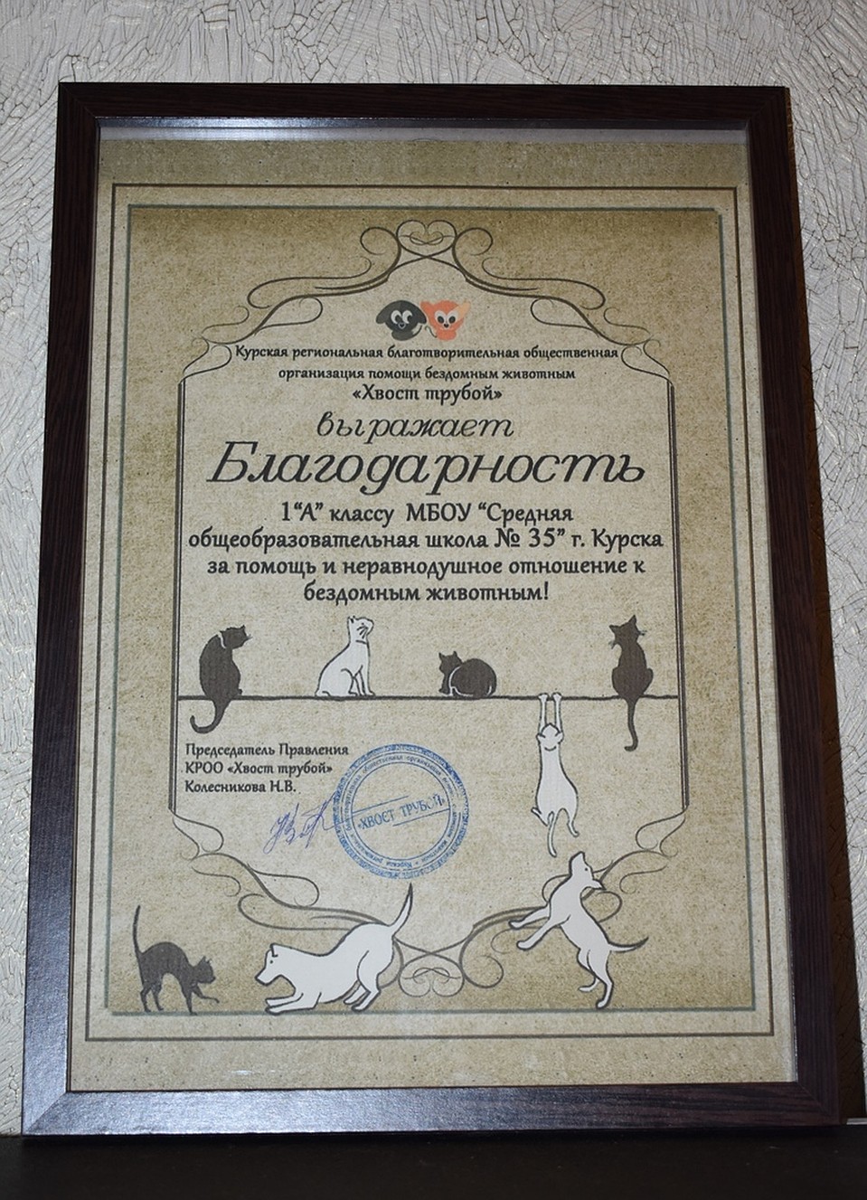 Благодарность за неравнодушное отношение к бездомным животным Фото: СОЦСЕТИ