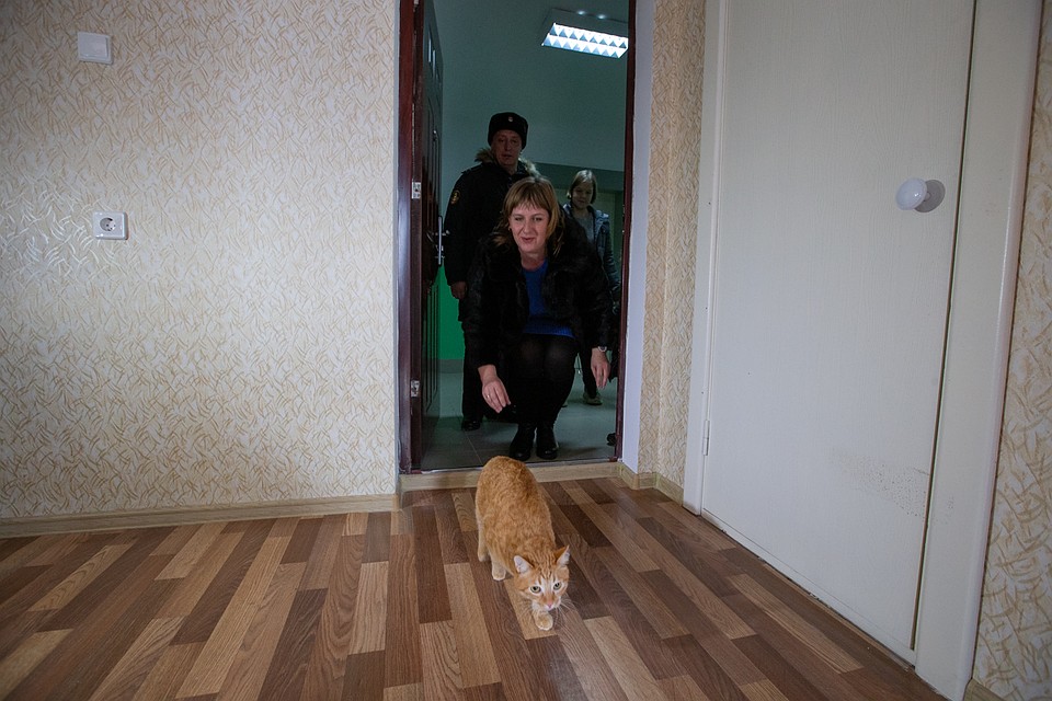 Первым в двухкомнатную квартиру, по традиции, запустили кота Фото: Татьяна МЕЕЛЬ