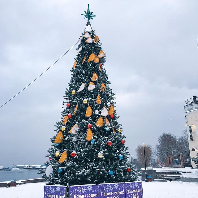 Елку во Владивостоке украсили бумажными чебуреками. Фото: Мария Бородина