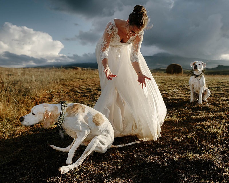 Фото: Oli Sansom \ International Wedding Photographer of the Year
