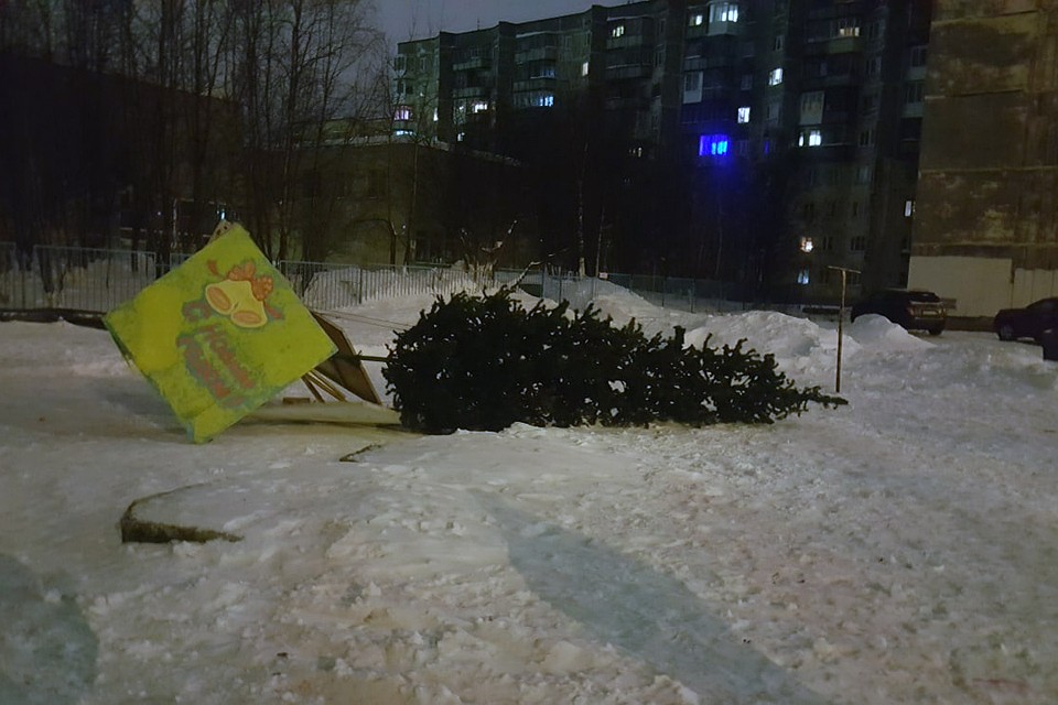 Символ года оказался на снегу из-за сильного ветра. Фото: Evgn Nrk