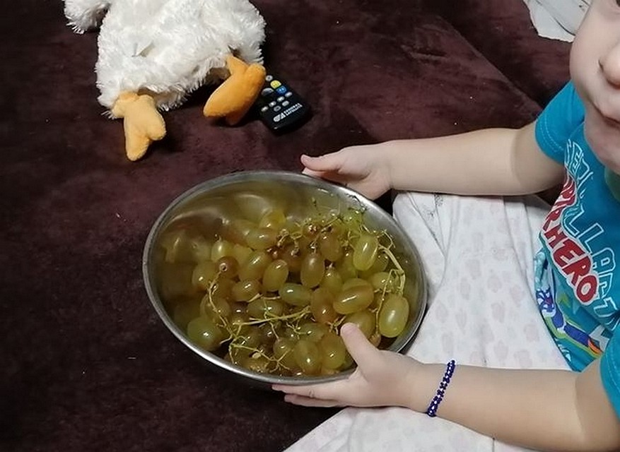 Родители спрятали килограмм винограда на Новый год, но малыш нашел его раньше. Фото: Денис Теребихин