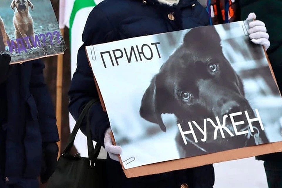 Фото: vk.com/azj_izhevsk