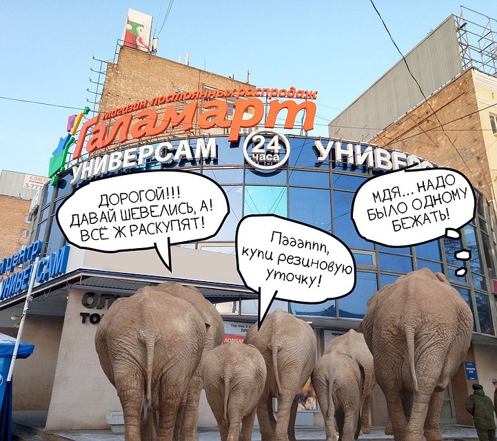 Фото: предоставлено магазином "Галамарт"
