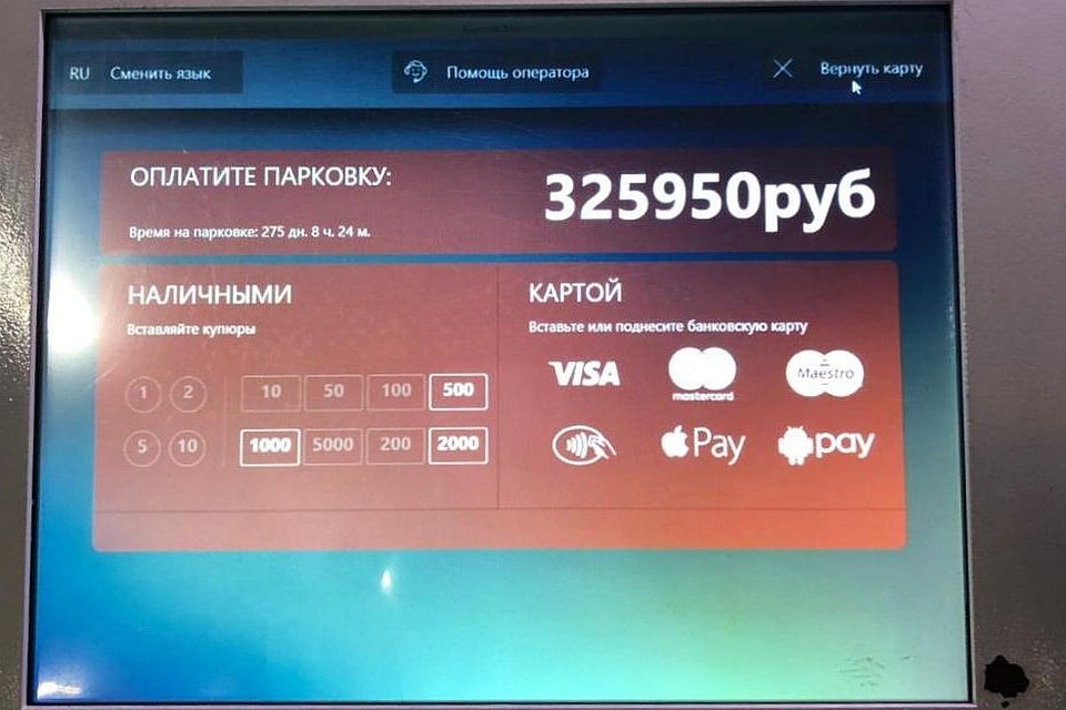 Оказалось, и у электронной системы бывают сбои. Фото: предоставлено "КП"