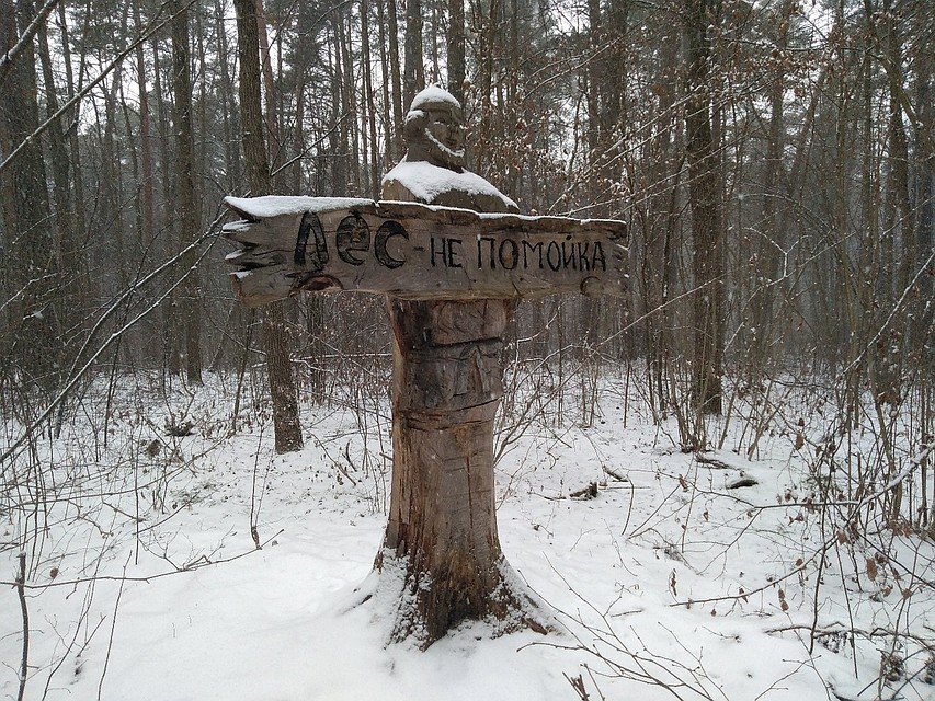 Фото: "Алексин | Слухи"