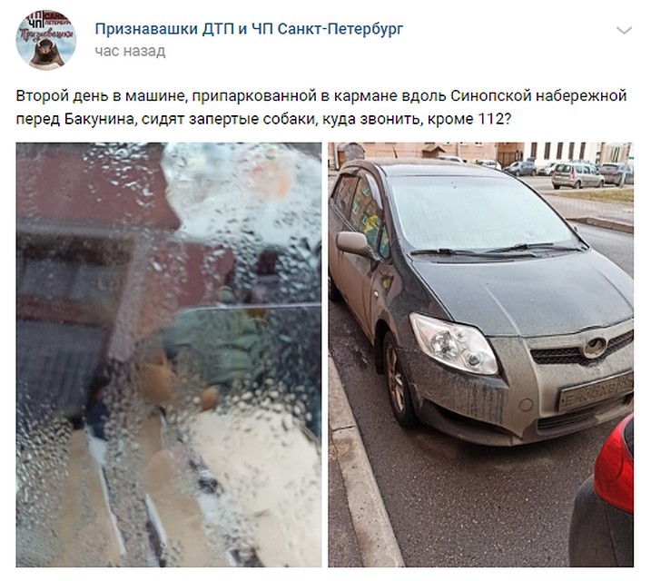 Горожане опубликовали пост, в котором рассказали, что животные сидят взаперти двое суток / Фото: vk.com/unreleased_dtp