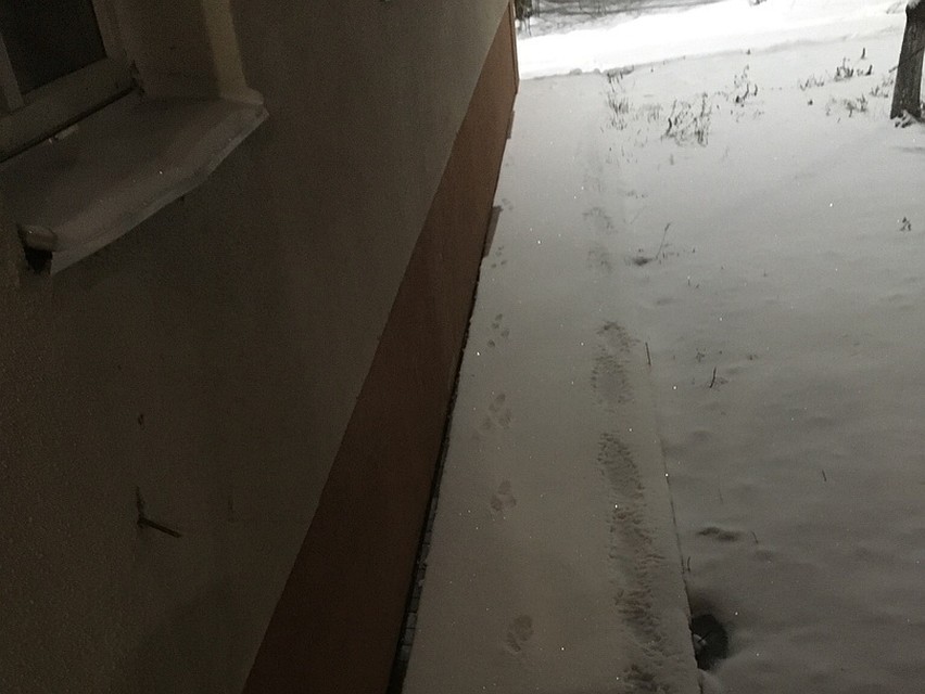 Фото соцсетей
