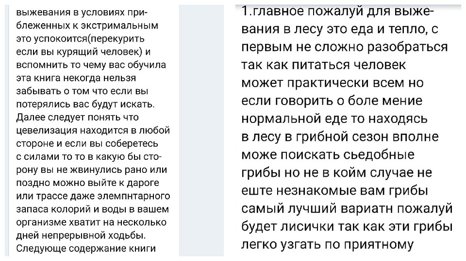 Черновик Ильи о том, как выжить в лесу Фото: Предоставлено "Комсомолке"