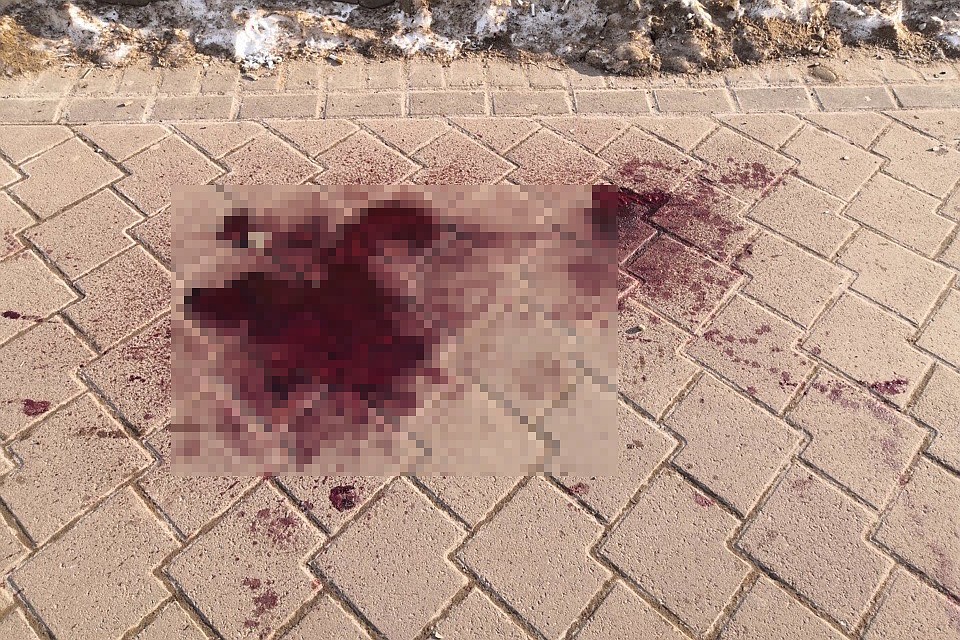 Прохожий нанес удар ножом прямо в лицо мужчины. Фото: https://vk.com/typical_nn