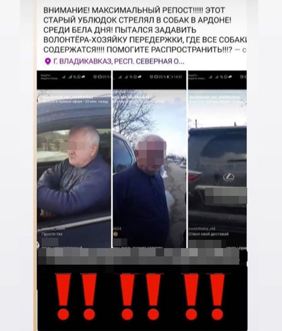 На видео местный житель не отрицает произошедшего Фото: СОЦСЕТИ