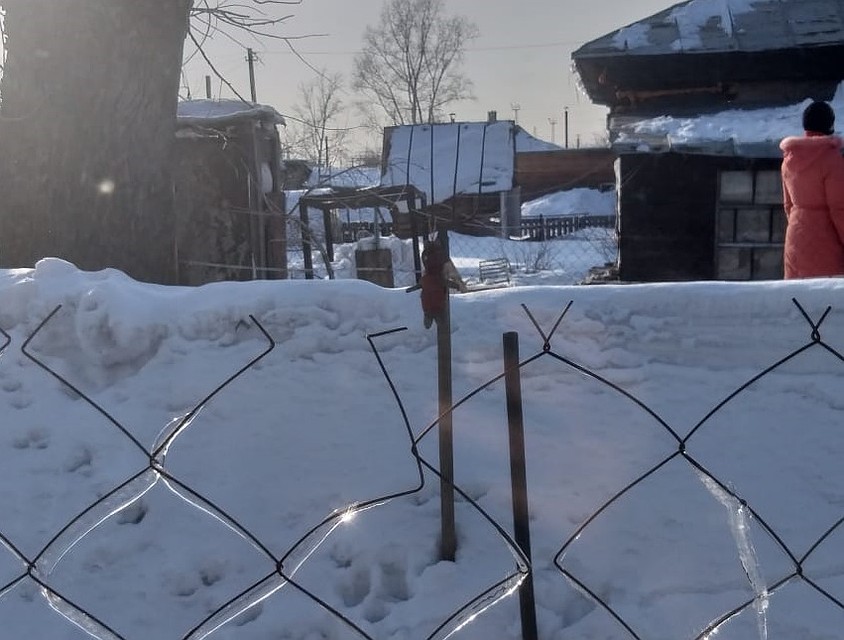 Кукла на вилах Фото: из личного архива героя(ев) публикации