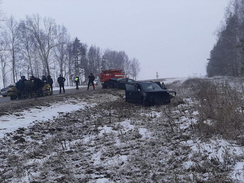 Фото: УМВД по Рязанской области.