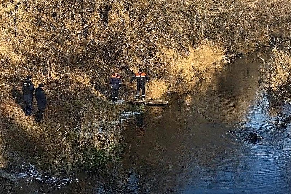 Водоемы были прочесаны, но осенью тело не удалось найти. Фото СУ СКР по Саратовской области